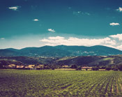 攻击网站服务器