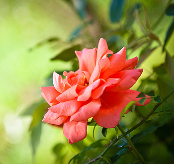 ddos压力测试平台