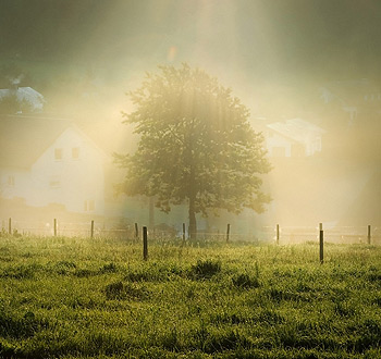 平台在线ddos压力测试