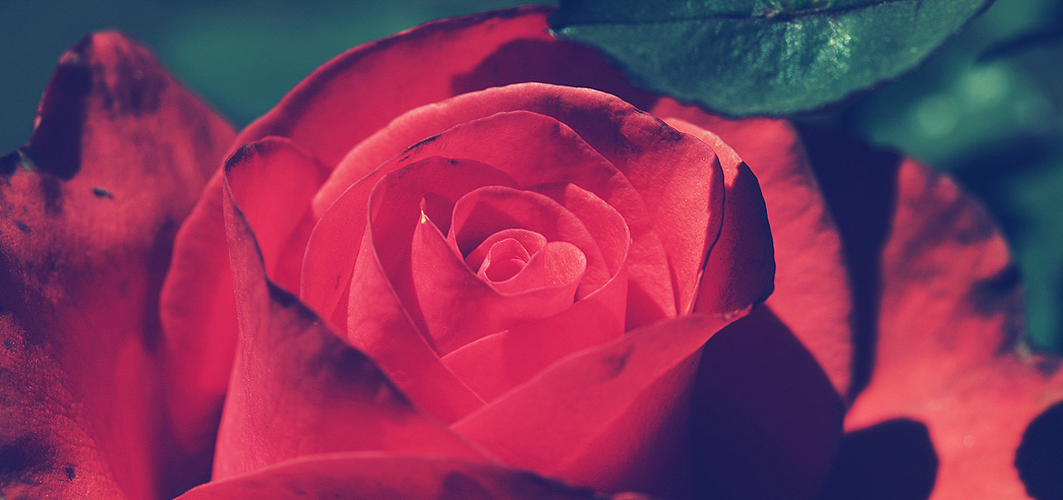 DDOS在线攻击平台